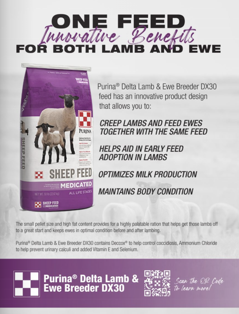 Purina Medicated Sheep Feed is available at your local Farmers Coop.